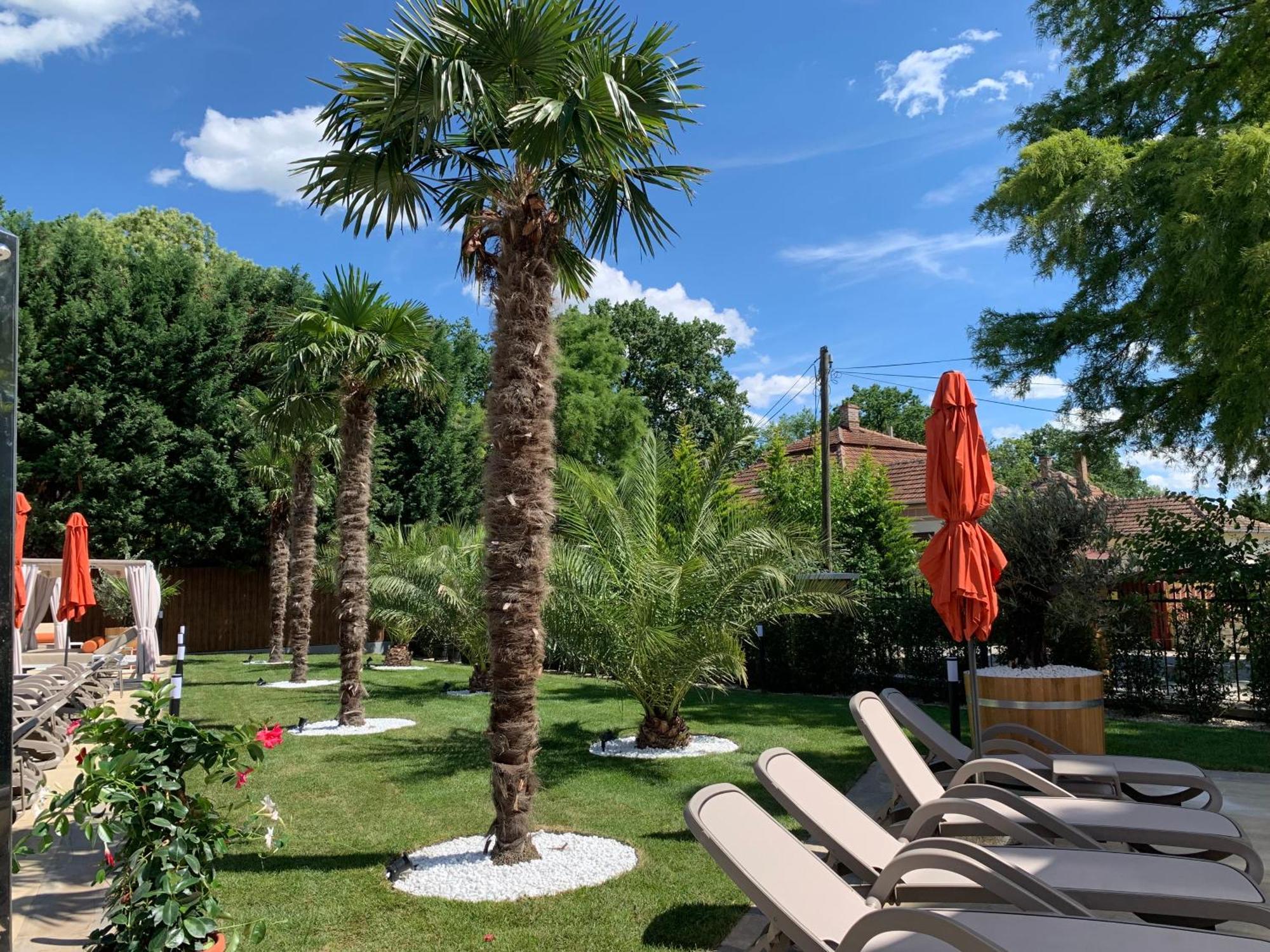 Wellness Hotel Gyula Exterior photo